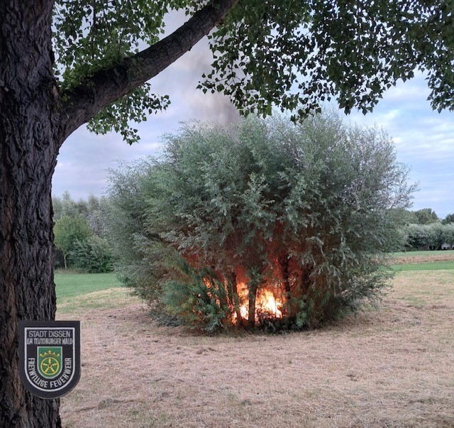 +++ 🚒 F1 - Brand von Bäumen in Regenauffangbecken +++