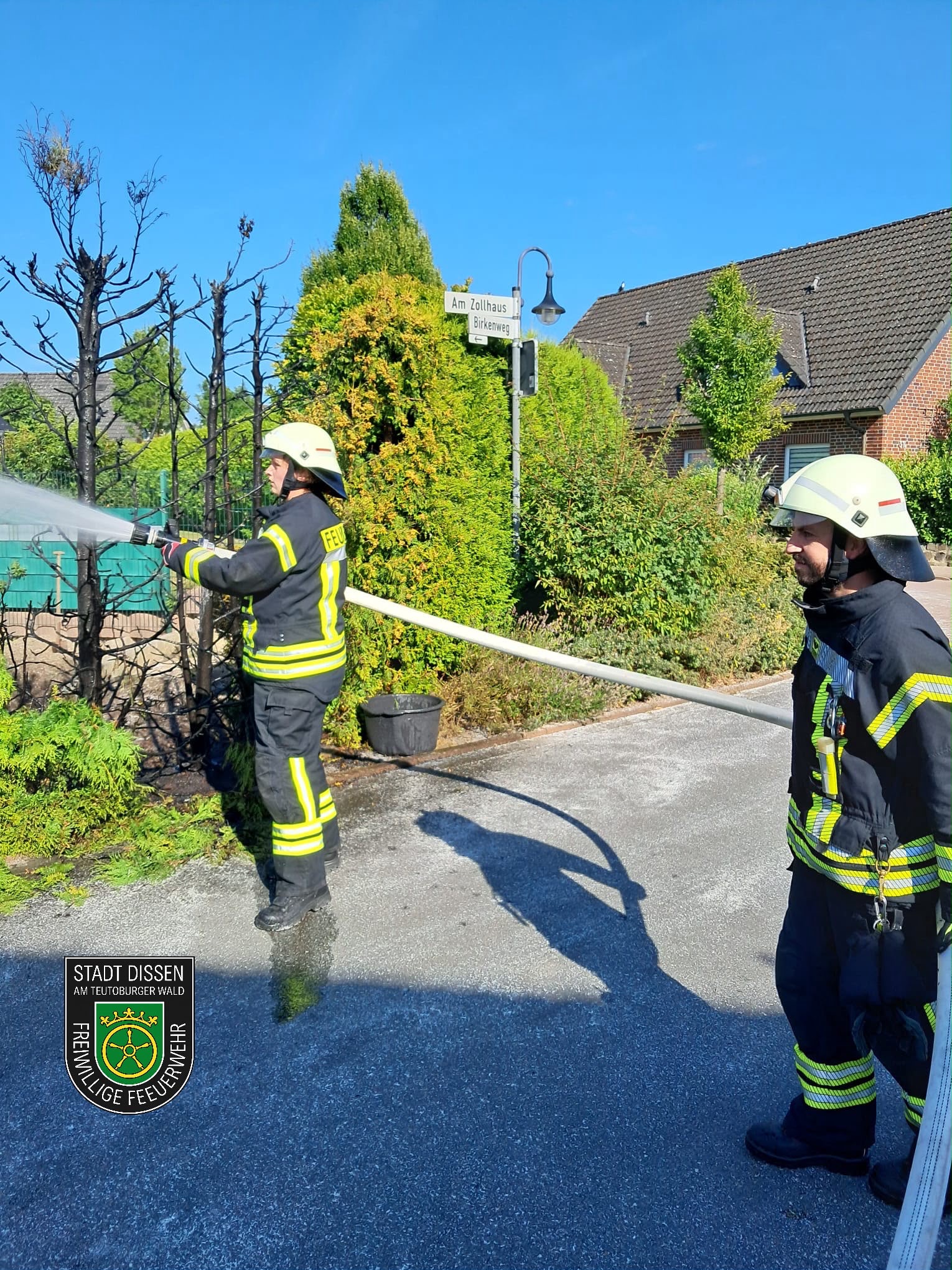 Heckenbrand - Bild 2